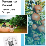 Parent-to-Parent Parent Care Groups